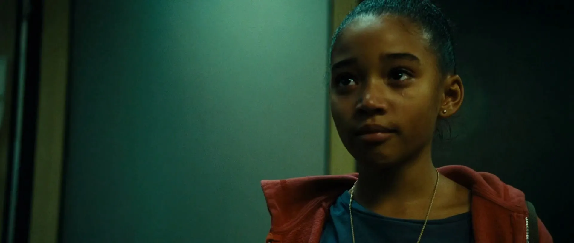 Colombiana (2011) Hindi Dual Audio 720p BluRay [1.1GB] Screenshot